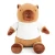 Animal Plush Toys with personalised T-Shirt
