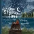 One Step At A Time - Fox Under the Moon