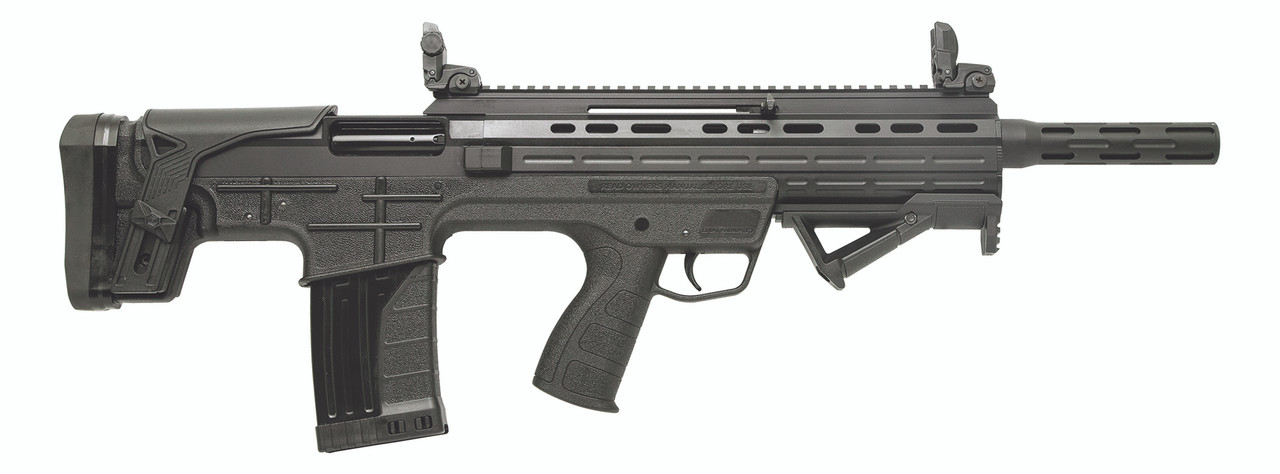 fear 2 assault rifle