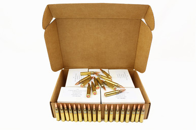 new_556_ammo_pic1__01964.