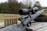 A Complete Look at 308 Ballistics From Energy to Drop at 1000 Yards
