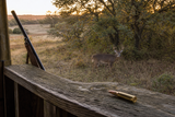 308 Hunting Guide to Game Ranges and Load Selection