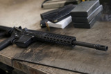 5.56 vs .223 for Denison Hog and Predator Hunting
