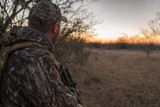 8 Coyote Hunting Tips for Denison AR-15 Hunters