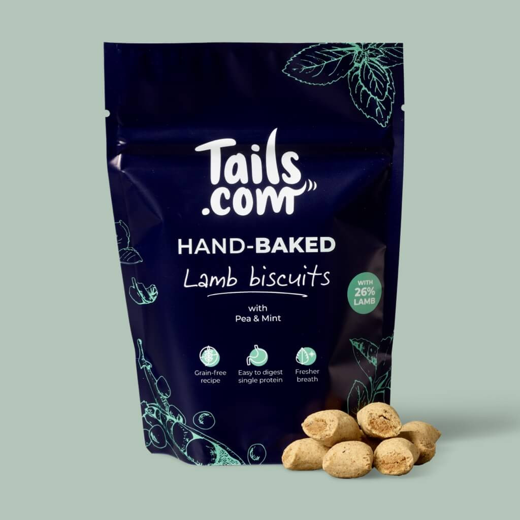 Shop Dog Treats, Wet Food, Chews and More