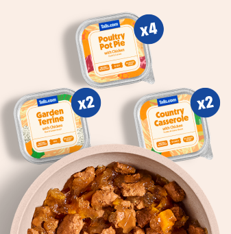 Chicken wet food variety pack - 8 x 150g trays