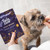 Chicken Biscuits Multipack x6