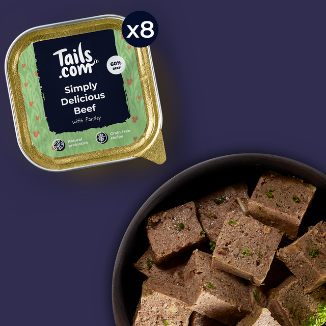 Shop Dog Treats, Wet Food, Chews and More