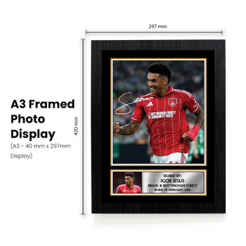 Igor Jesus Printed Autograph Poster – Nottingham Forest & Brazil Football Star Wall Art – Soccer Player Memorabilia Poster Print