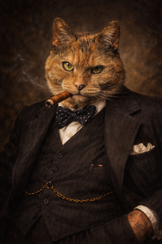 Churchill Style Cat Portrait Poster – Vintage Gentleman Cat Wall Art – Funny Aristocrat Cat Painting Decor for Home or Office