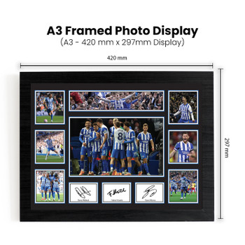 Brighton & Hove Albion Team 2026 Poster Print – Seagulls Football Club Squad Wall Art Featuring Danny Welbeck, Fabian Hürzeler & Kaoru Mitoma – Football Memorabilia Gift for Brighton Supporters