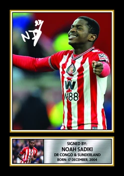 Noah Sadiki printed signature poster