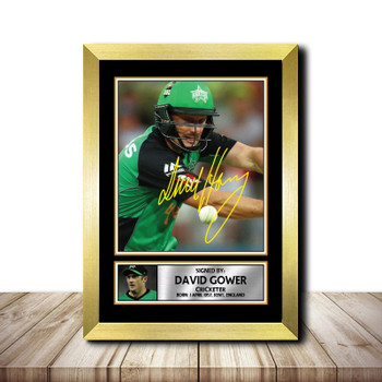 David Hussey M1528 Cricketer Autographed Poster Print Photo Signature Gift David Hussey M1528 Cricketer Autographed Poster Print Photo Signature Gift