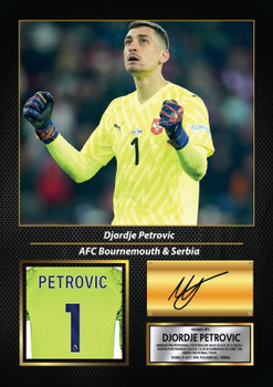 Djordje Petrovic Printed Signed Poster – AFC Bournemouth & Serbia Goalkeeper Tribute Wall Art with Jersey & Bio Plaque – Premier League Football Memorabilia for Fans & Collectors