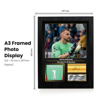 Martin Dúbravka Printed Signed Poster – Newcastle United FC & Slovakia Goalkeeper Tribute Wall Art with Jersey & Bio Plaque – Premier League Football Memorabilia for Fans & Collectors