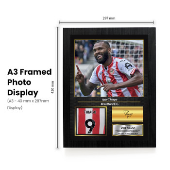 Igor Thiago Printed Signed Poster – Brentford FC & Brazil Forward Tribute Wall Art with Jersey & Bio Plaque – Premier League Football Memorabilia for Fans & Collectors