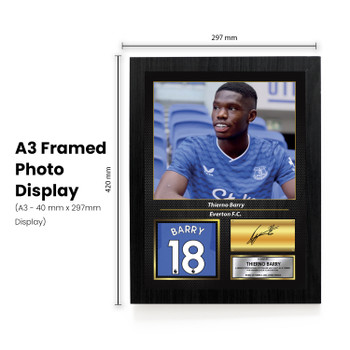 Thierno Barry Printed Signed Poster – Everton FC Striker Tribute Wall Art with Jersey & Bio Plaque – Premier League Football Memorabilia for Fans & Collectors