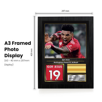 Igor Jesus Signed Football Memorabilia – Framed Autograph Display with Nottingham Forest & Brazil Tribute – Collector’s Gift for Fans