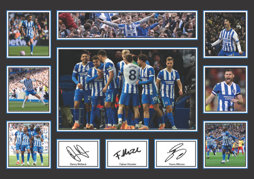 Brighton & Hove Albion Team 2026 Poster Print