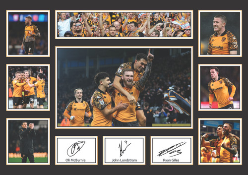 Hull City AFC Team 2026 Poster Print