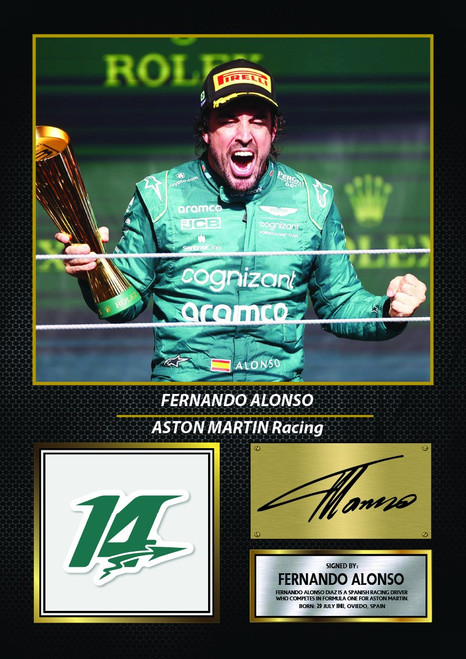 Fernando Alonso icon poster 0