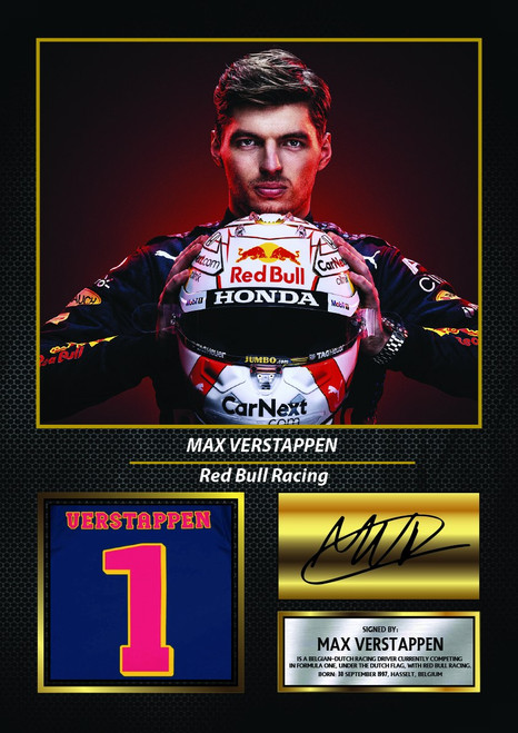 Max Verstappen icon poster 0