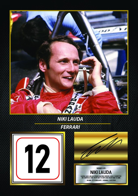 Niki Lauda icon poster 0