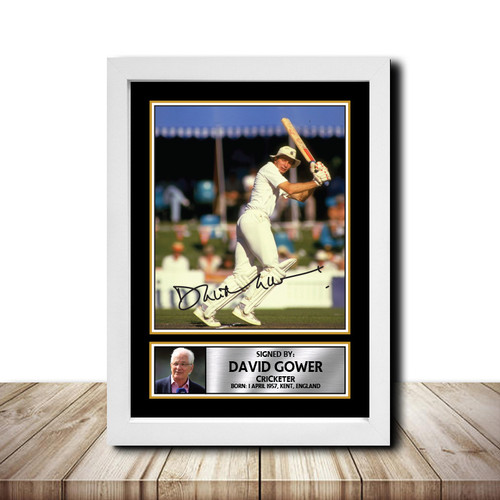 David Gower Cricketer printed autograph poster print