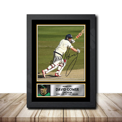 David Hussey Cricketer printed autograph poster print