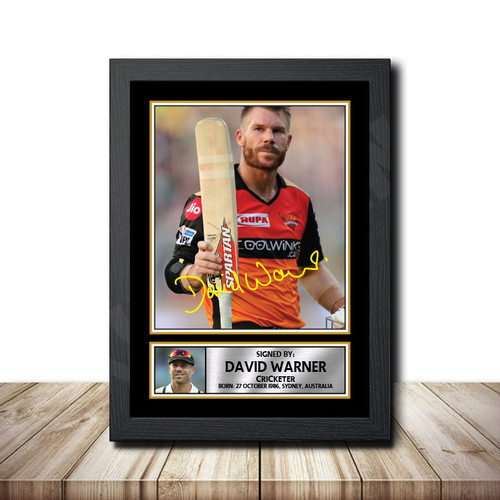 David Warner Cricketer printed autograph poster print
