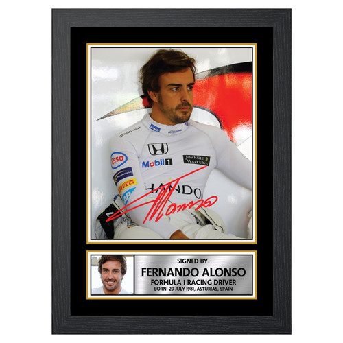 Fernando Alonso Motor Racer printed autograph poster print