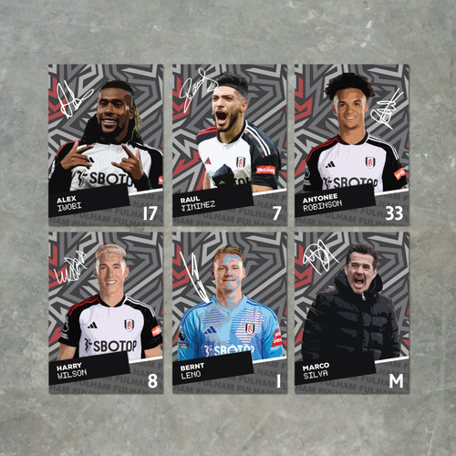 Fulham Players printed autograph poster print