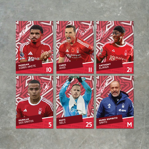 Nottingham Forest Players printed autograph poster print