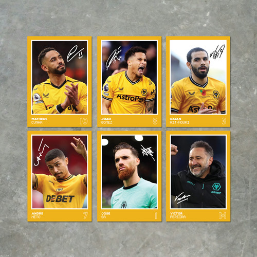 Wolverhampton Wanderers Players printed autograph poster print