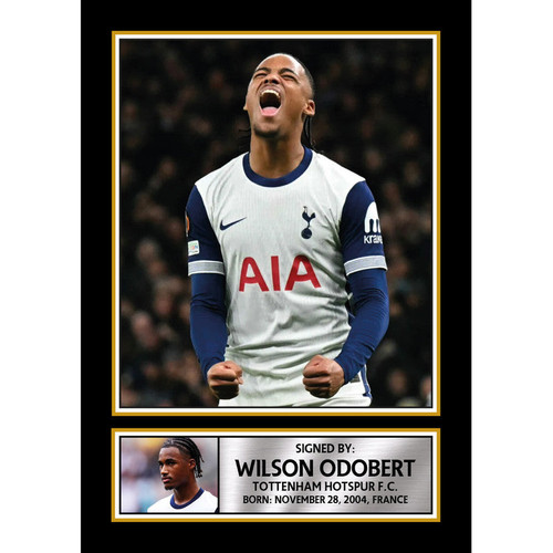 Wilson Odobert printed autograph poster print