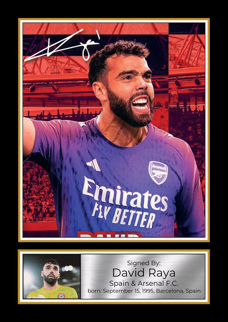 David Raya printed autograph poster print