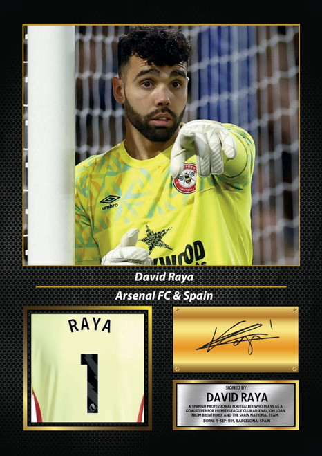 David Raya printed autograph poster print