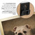 Mona Lisa Bulldog Portrait Poster - Funny Renaissance Bulldog Wall Art