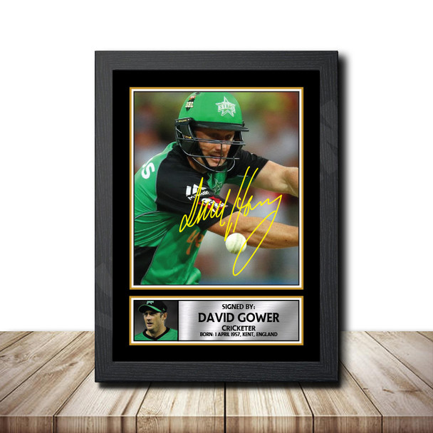 David Hussey M1528 - Cricketer - Autographed Poster Print Photo Signature GIFT