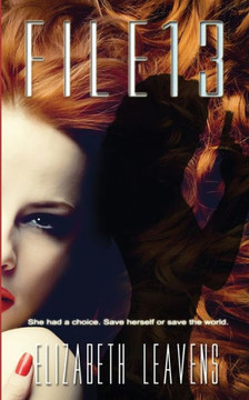 File 13 (Terror By The Numbers)