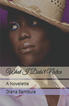 What I Didn't Notice: A Novelette