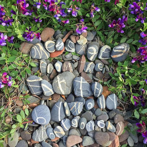 Messages From The Earth