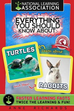Everything You Should Know About: Turtles and Rabbits