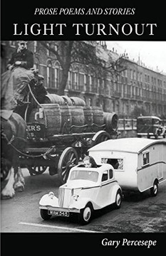 Light Turnout: Prose Poems and Stories