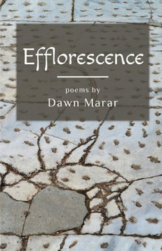 Efflorescence - 9781635344462