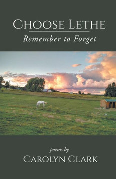 Choose Lethe: Remember To Forget Choose Lethe: Remember To Forget