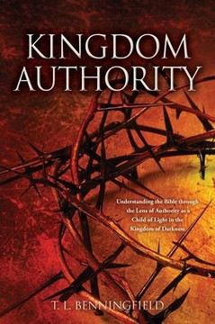 Kingdom Authority: Understanding The Bible Through The Lens Of Authority As A Child Of Light In The Kingdom Of Darkness (Foundational Bible Knowledge Book 1: Kingdom Authority)