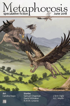 Metaphorosis June 2018 (30) (Metaphorosis Magazine)