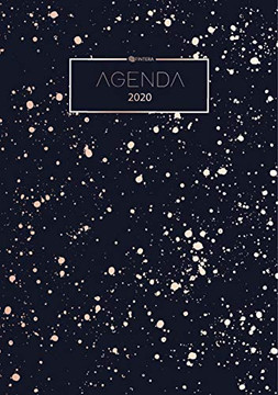 Agenda 2020 - Planificateur, Organiseur et Calendrier 2020 - Agenda Journalier et Agenda Semainier - Agenda de Poche (BOOKS ON DEMAND) (French Edition)