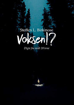 Voksen!?: Digte fra midt i 20'erne (Danish Edition)